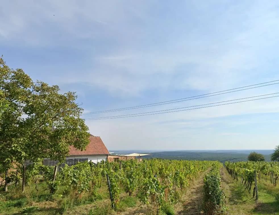 Immobilie kaufen in Oberwart – 73 m², € 420.000 – Bild 2 von 7