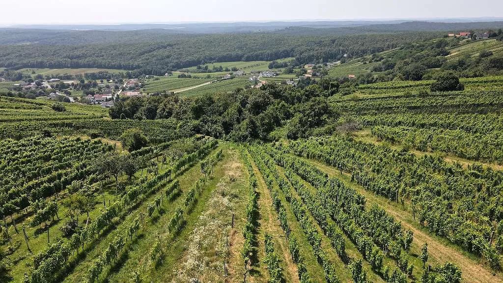 Immobilie kaufen in Oberwart – 73 m², € 420.000 – Bild 4 von 7