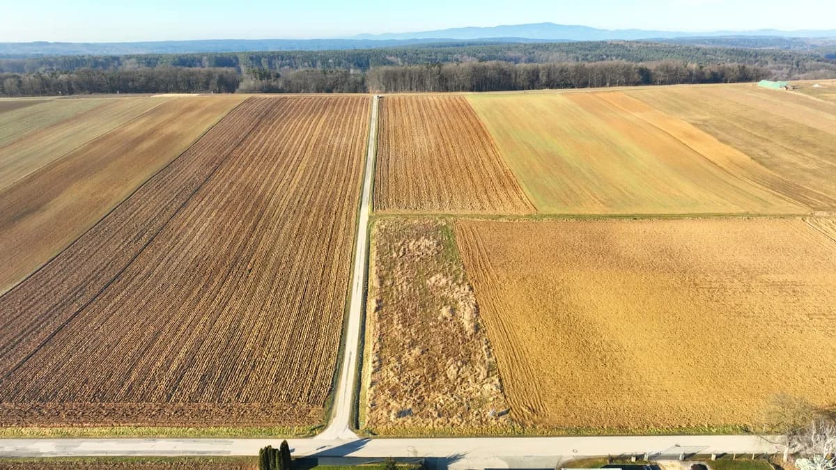 Immobilie kaufen in Oberwart – 3 500 m², € 115.000 – Bild 3 von 7