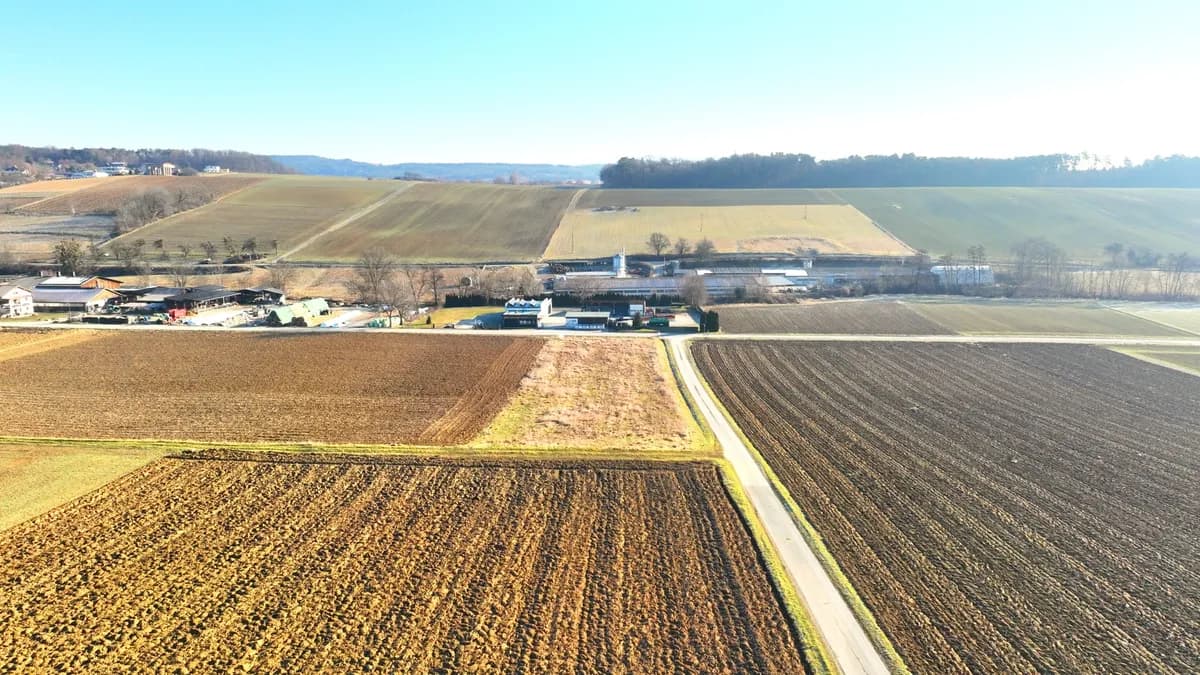Immobilie kaufen in Oberwart – 3 500 m², € 115.000 – Bild 4 von 7