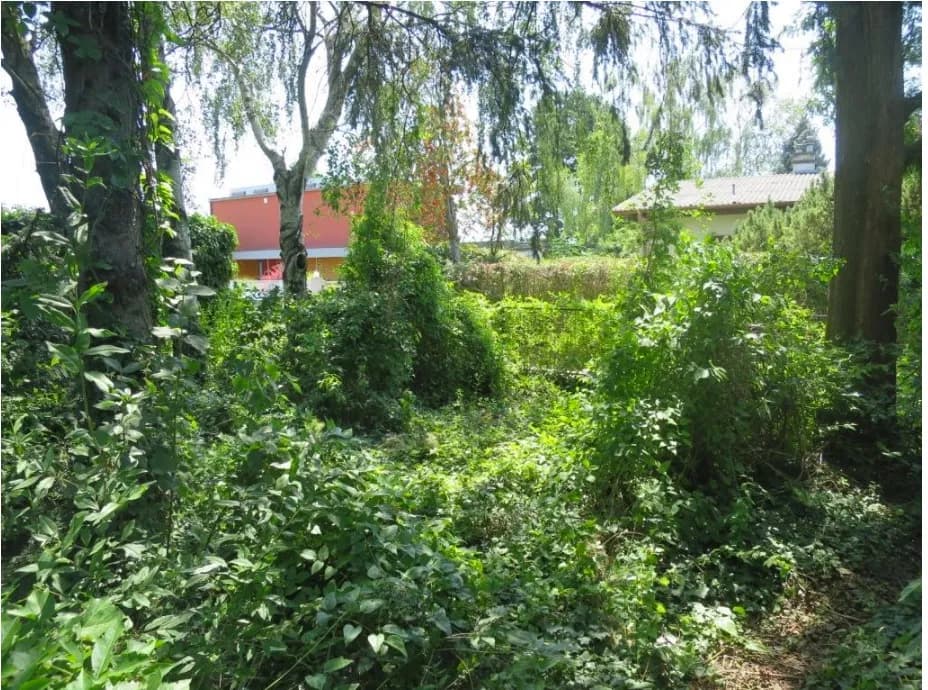 Grundstück kaufen in Korneuburg – 614 m², € 385.250 – Bild 5 von 12
