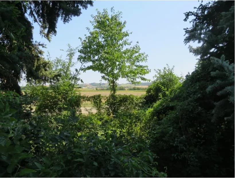 Grundstück kaufen in Korneuburg – 614 m², € 385.250 – Bild 6 von 12