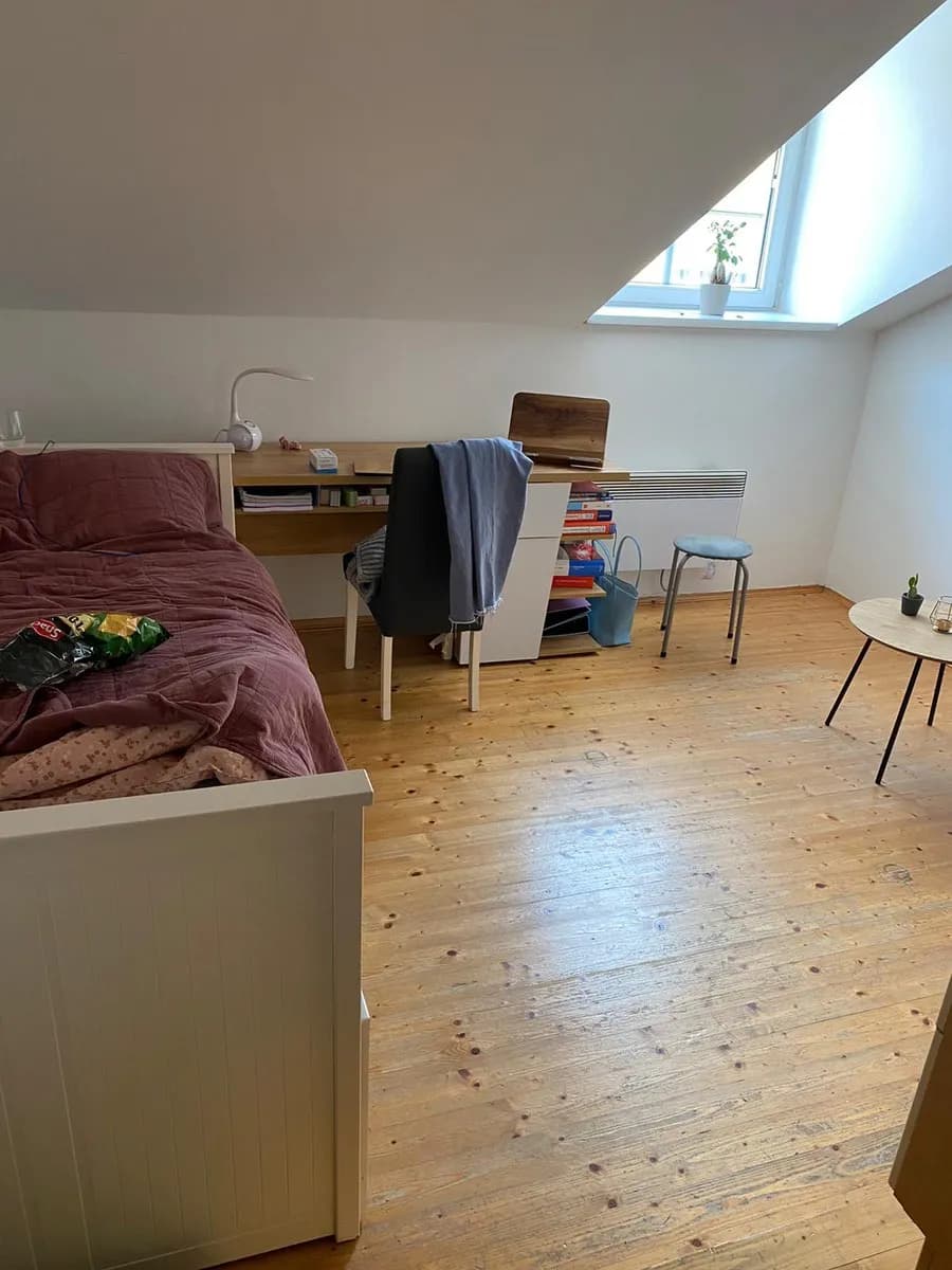1-Zimmer-Wohnung mieten in Graz – 21 m², € 342 – Bild 5 von 7