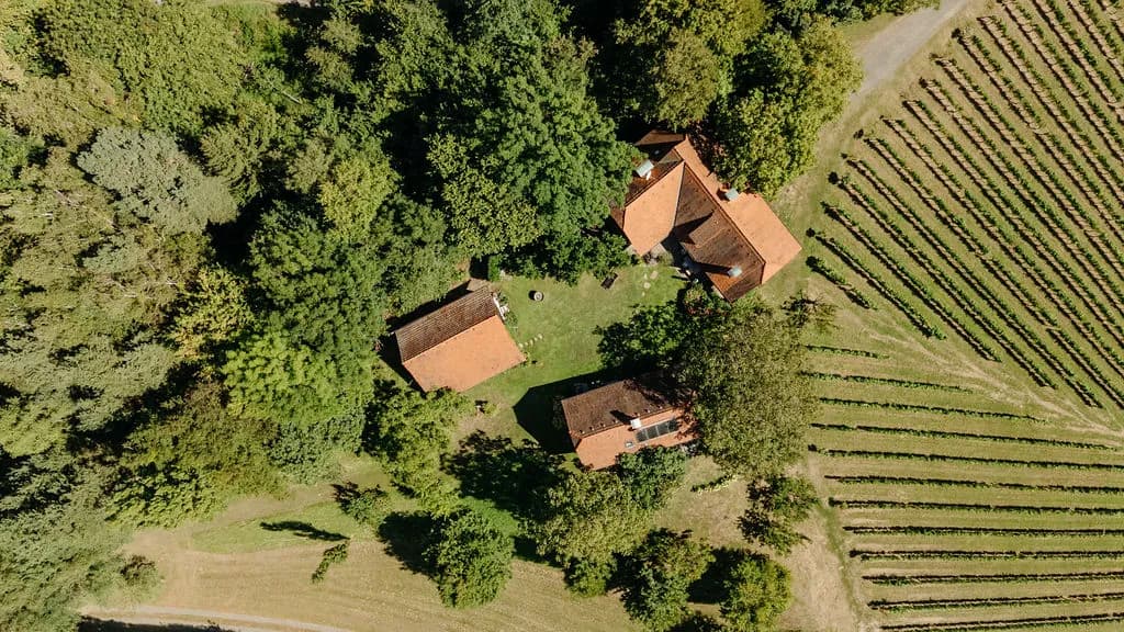 8-Zimmer-Immobilie kaufen in Leibnitz – 400 m², € 3.100.000 – Bild 3 von 47