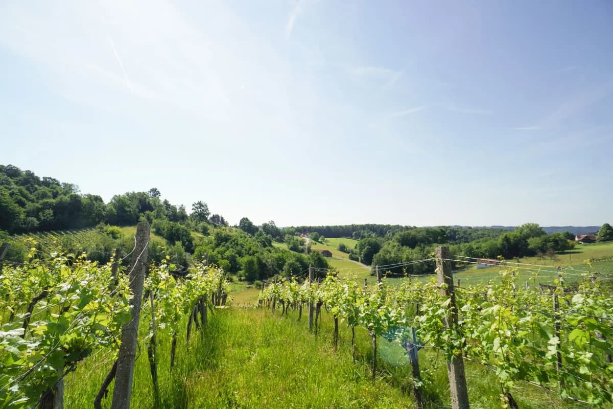 Grundstück kaufen in Hartberg-Fürstenfeld – 7 886 m², € 480.000 – Bild 2 von 6