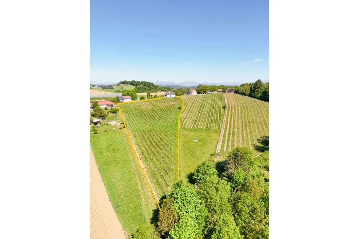 Grundstück kaufen in Hartberg-Fürstenfeld – 7 886 m², € 480.000 – Bild 3 von 6