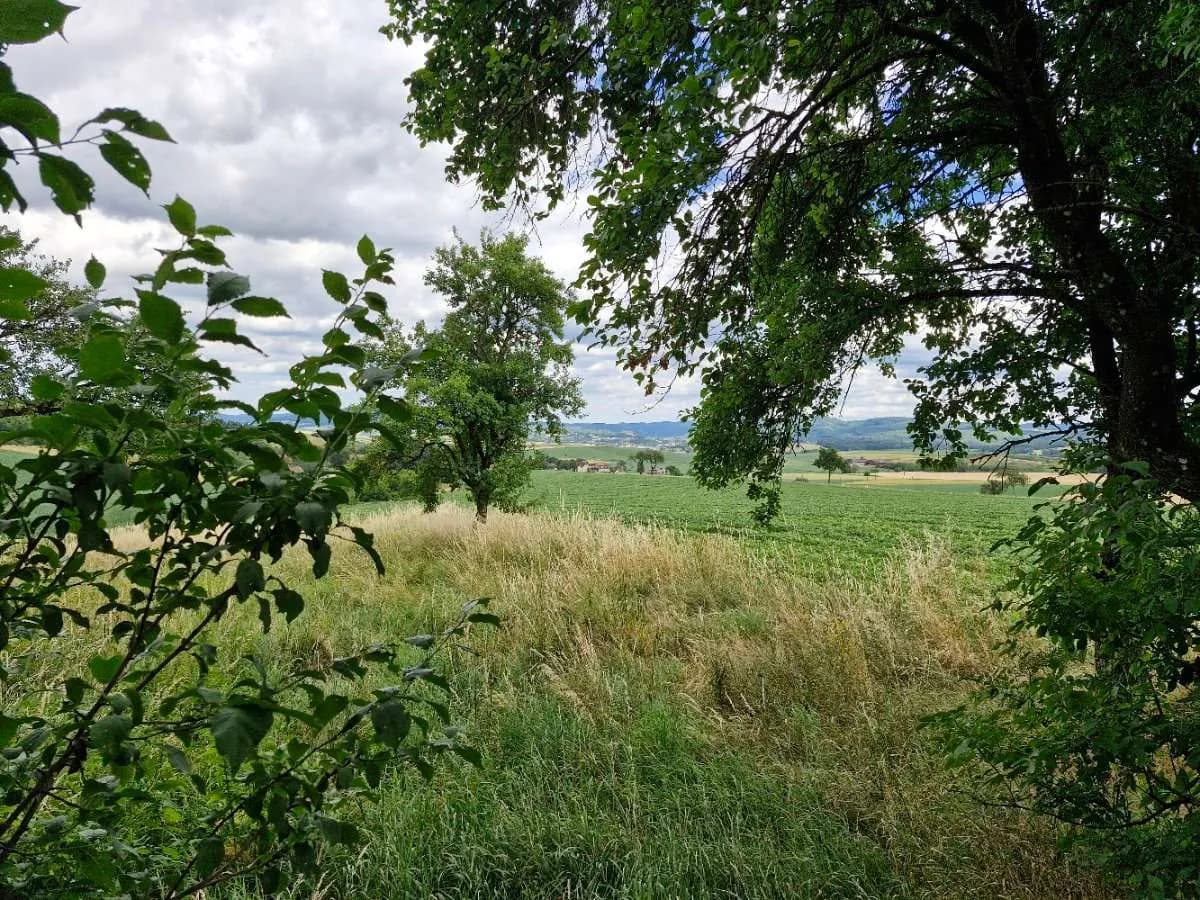Immobilie kaufen in Sankt Pölten Land – 100 m², € 295.000 – Bild 19 von 21