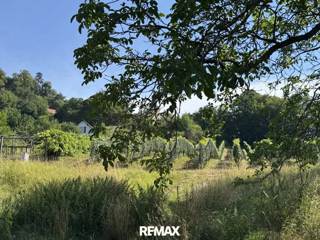 Grundstück kaufen in Südoststeiermark – 1 000 m², € 58.000 – Bild 6 von 7