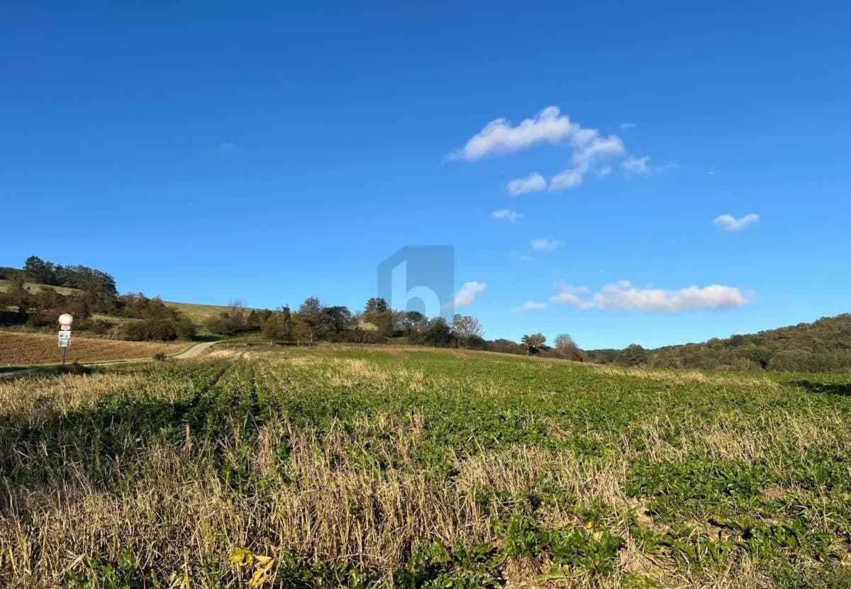 Grundstück kaufen in Tulln – 14 304 m² – Bild 2 von 4