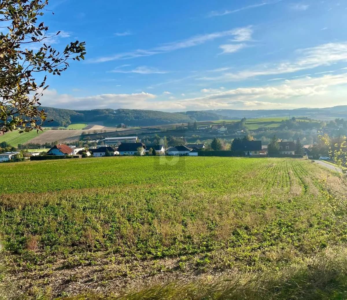 Grundstück kaufen in Tulln – 14 304 m² – Bild 3 von 4