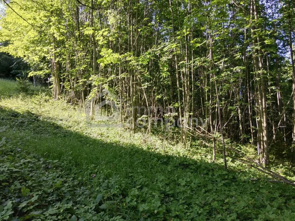 Grundstück kaufen in Neunkirchen – 1 719 m², € 108.000 – Bild 3 von 4