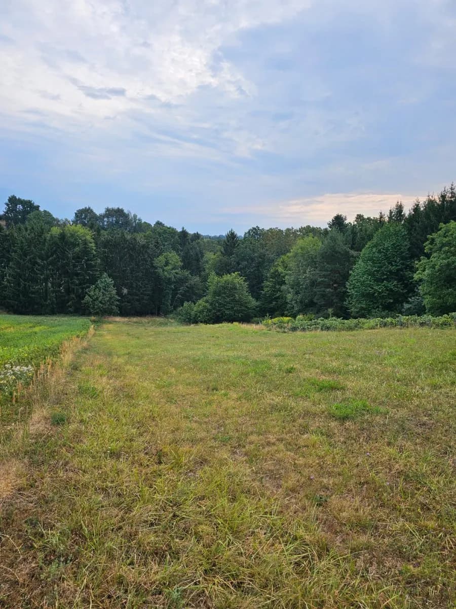 Grundstück kaufen in Güssing – 4 000 m², € 99.000 – Bild 2 von 7