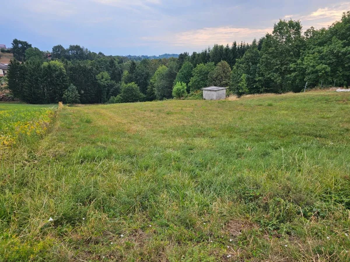 Grundstück kaufen in Güssing – 4 000 m², € 99.000 – Bild 4 von 7