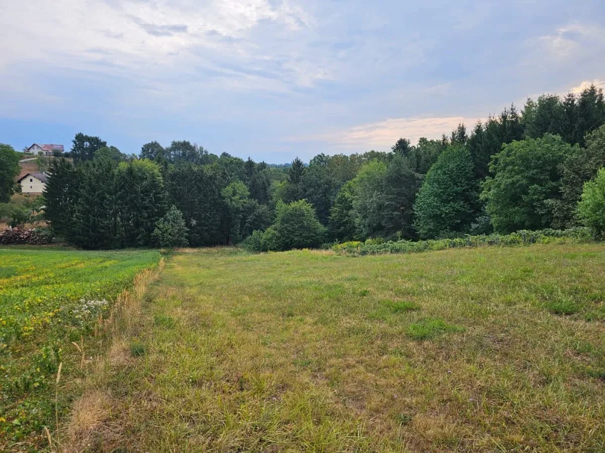 Grundstück kaufen in Güssing – 4 000 m², € 99.000 – Bild 5 von 7