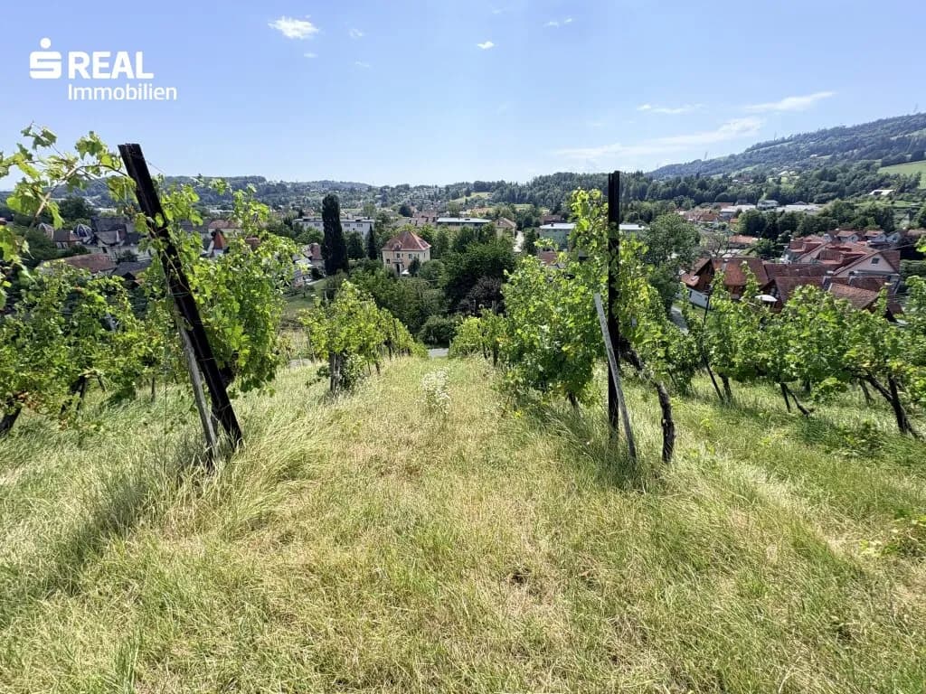 Grundstück kaufen in Deutschlandsberg – 77 500 m², € 1.000.000 – Bild 3 von 3