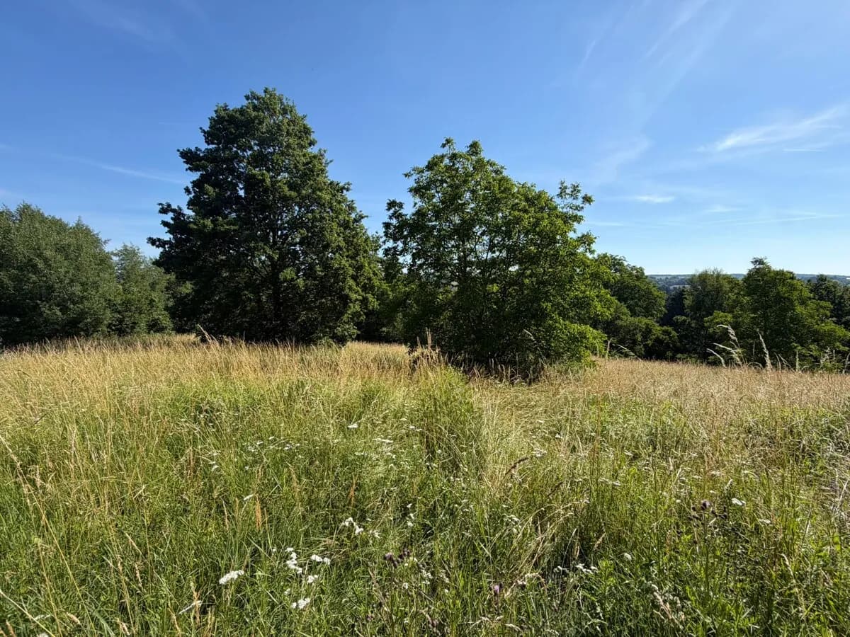 Grundstück kaufen in Güssing – 1 603 m², € 149.000