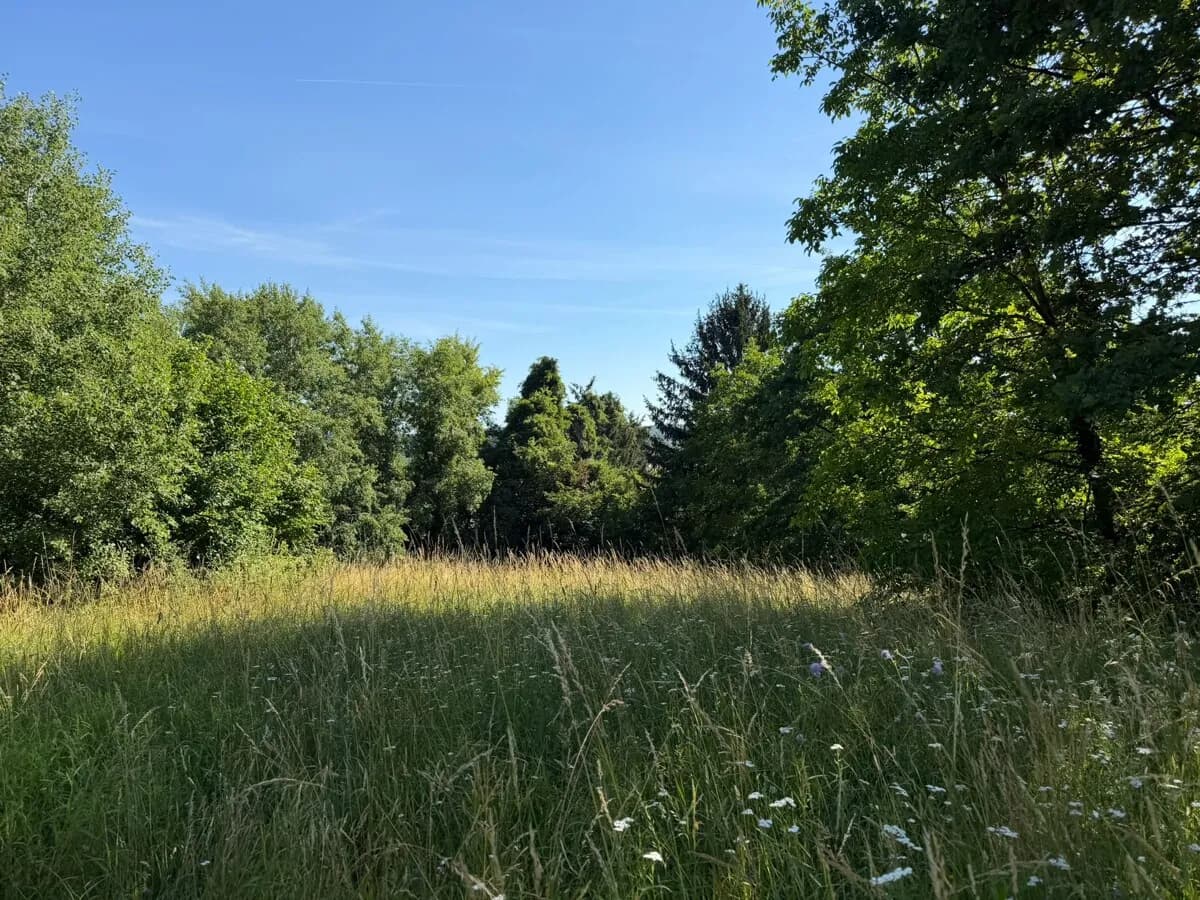 Grundstück kaufen in Güssing – 1 603 m², € 149.000 – Bild 2 von 5