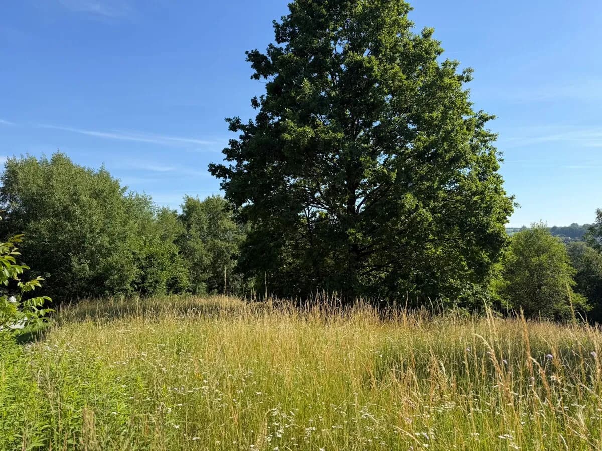Grundstück kaufen in Güssing – 1 603 m², € 149.000 – Bild 3 von 5