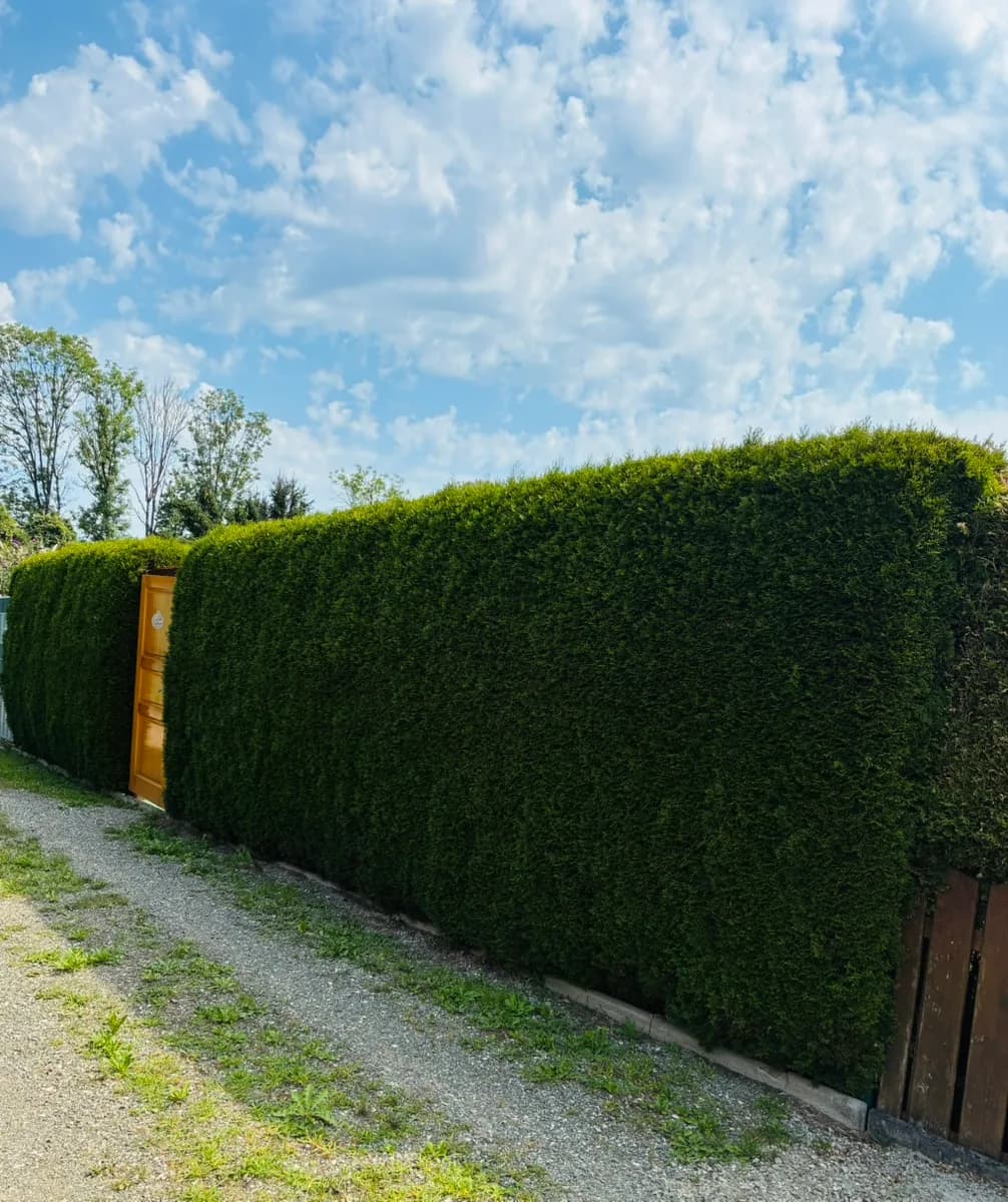 Immobilie kaufen in Leoben – 30 m², € 16.500 – Bild 3 von 22