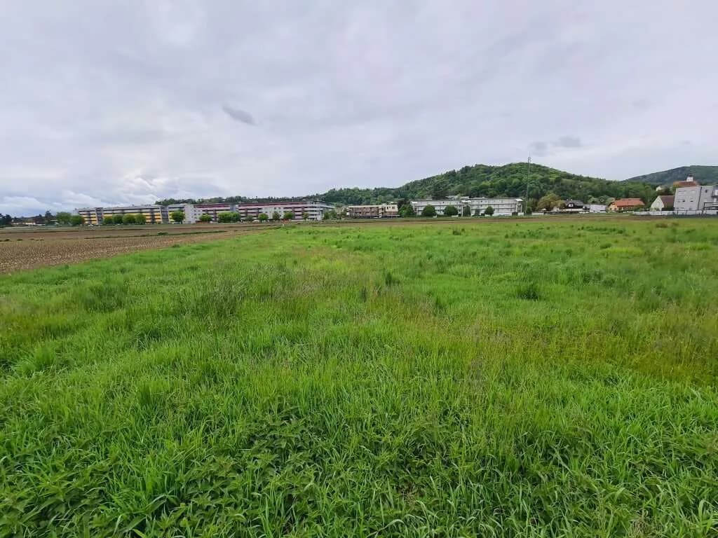 Grundstück kaufen in Graz – 3 163 m², € 950.000 – Bild 5 von 8