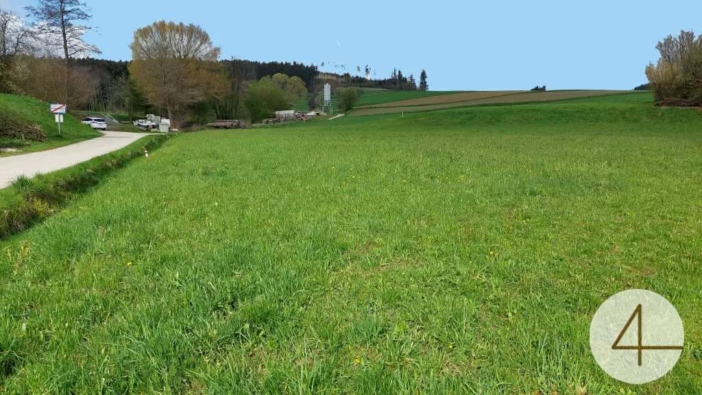 Grundstück kaufen in Krems Land – 1 189 m² – Bild 5 von 12