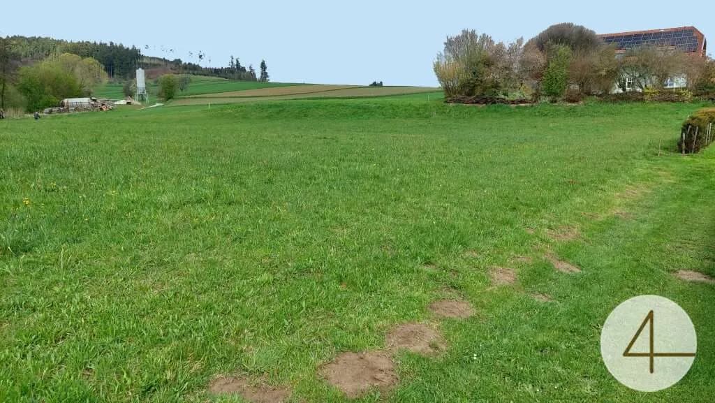 Grundstück kaufen in Krems Land – 1 189 m² – Bild 11 von 12