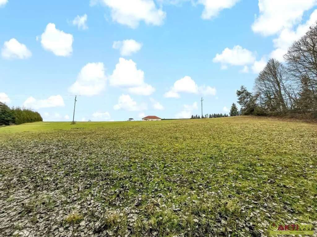 Grundstück kaufen in Jennersdorf – 10 956 m², € 150.000 – Bild 4 von 18