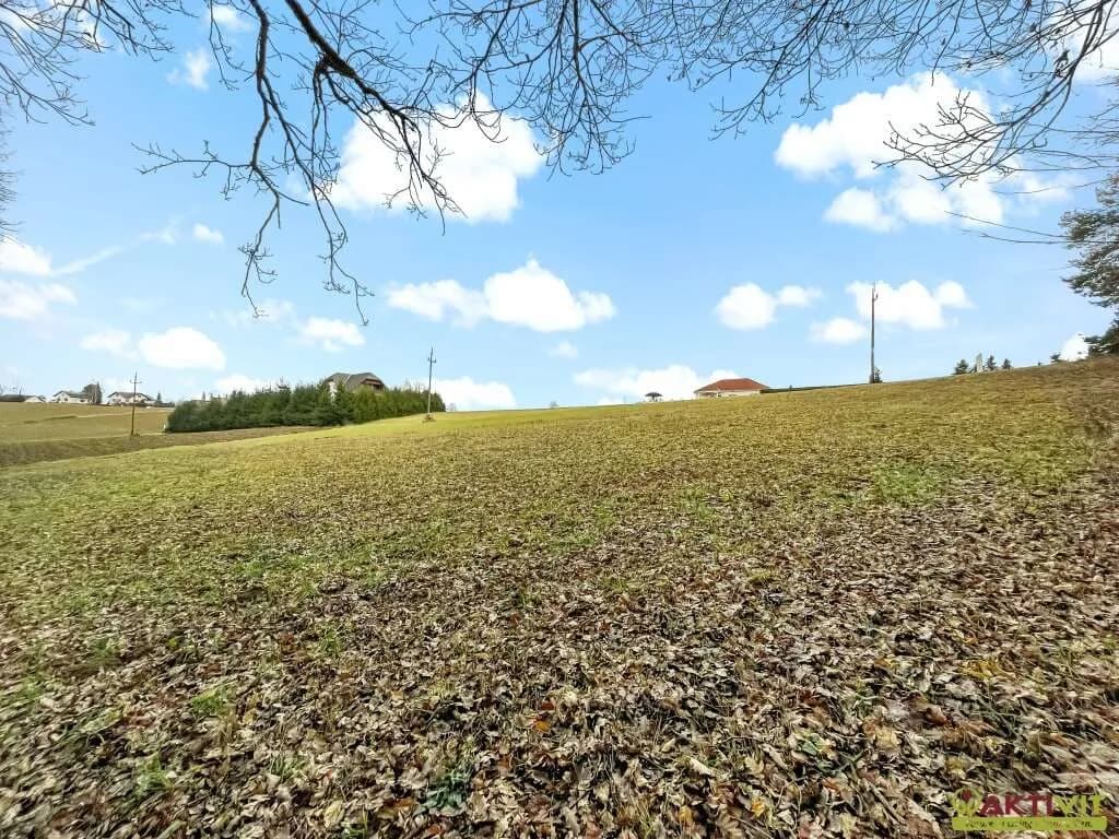 Grundstück kaufen in Jennersdorf – 10 956 m², € 150.000 – Bild 6 von 18