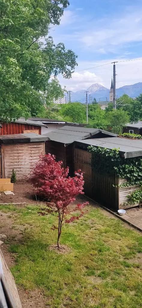 Wohnung mieten in Villach – 20 m², € 240 – Bild 28 von 31