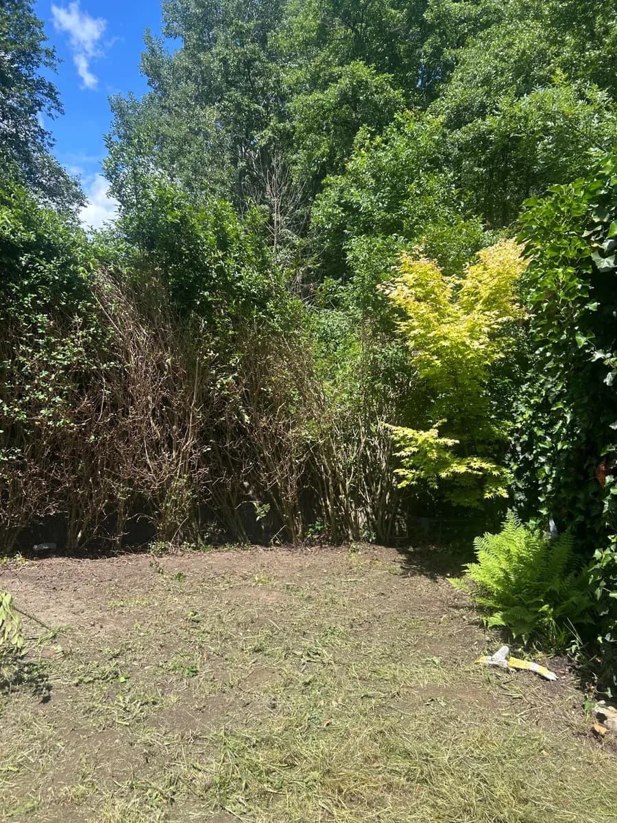 Wohnung kaufen in Mattersburg – 30 m², € 19.000 – Bild 2 von 3