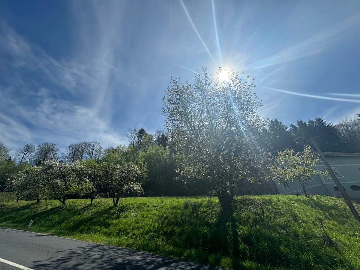 Grundstück kaufen in Südoststeiermark – 1 046 m², € 51.254 – Bild 3 von 9