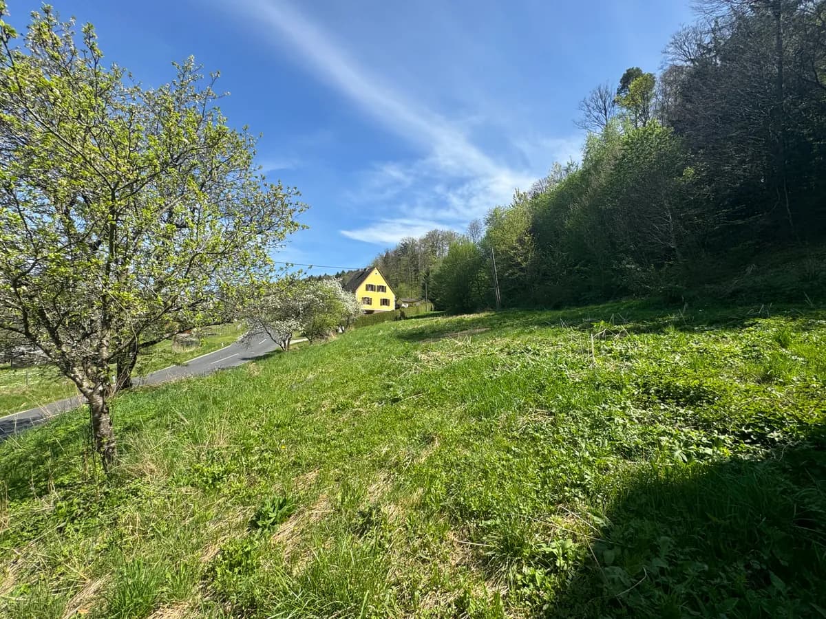 Grundstück kaufen in Südoststeiermark – 1 046 m², € 51.254 – Bild 6 von 9