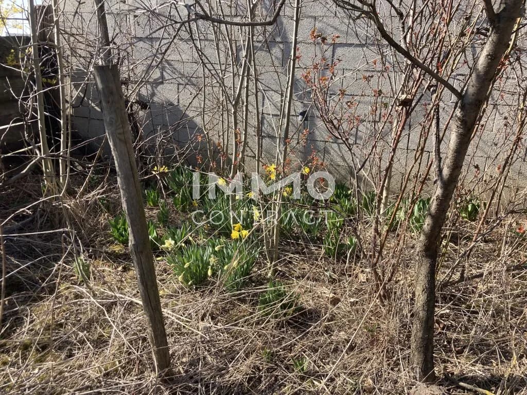 4-Zimmer-Immobilie kaufen in Mistelbach – 2 770 m² – Bild 10 von 11