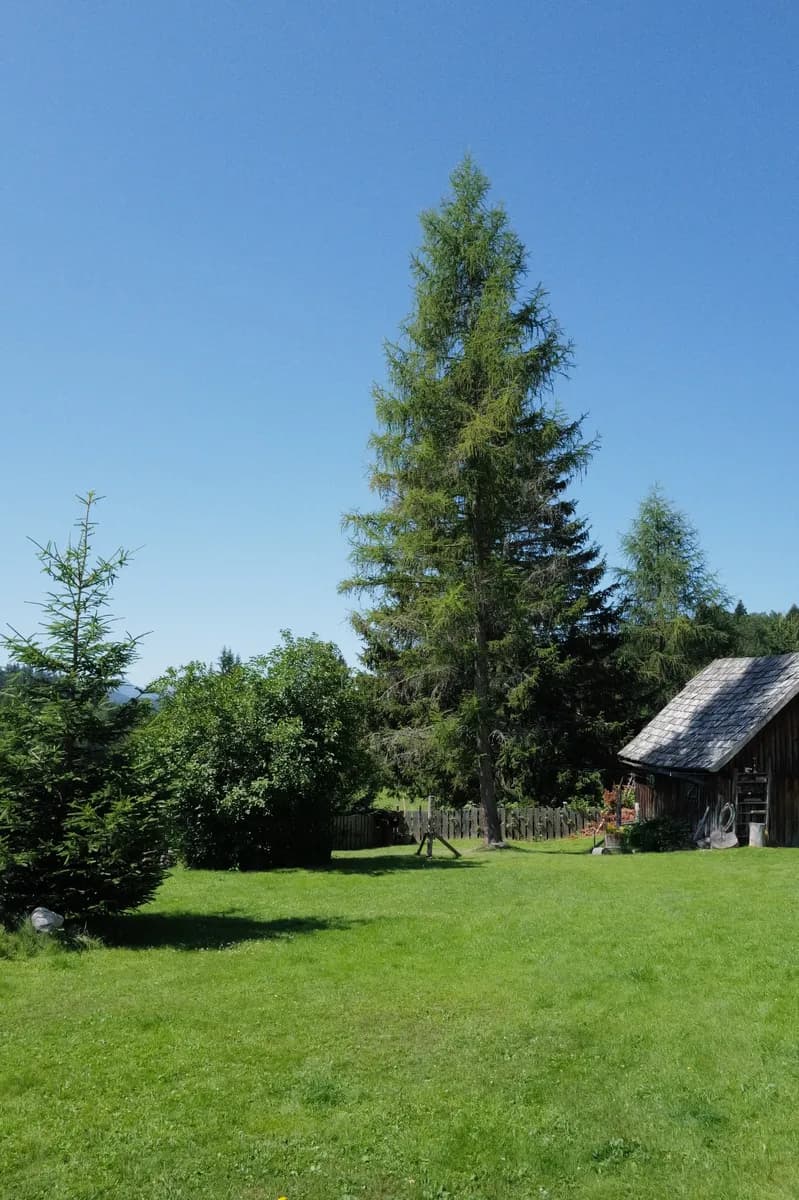 5-Zimmer-Haus mieten in Scheibbs – 100 m², € 800 – Bild 5 von 6