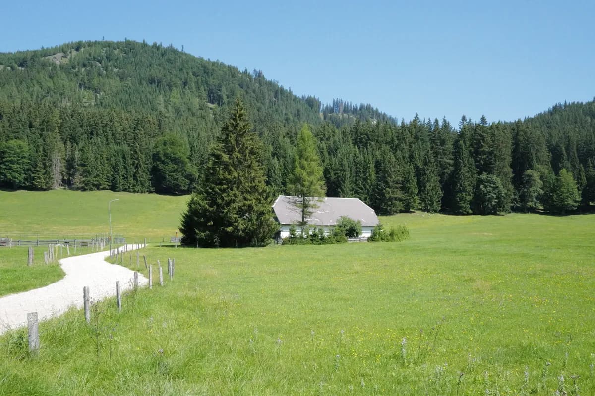 5-Zimmer-Haus mieten in Scheibbs – 100 m², € 800 – Bild 6 von 6