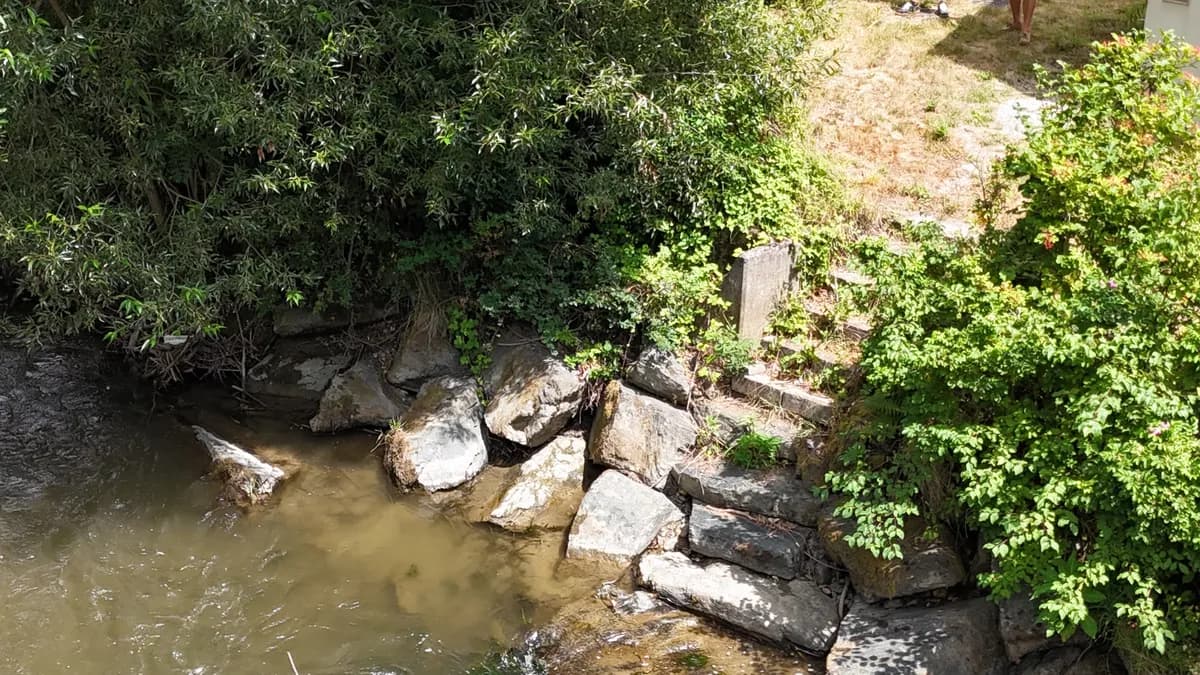 Grundstück kaufen in Klagenfurt Land – 650 m², € 60.000 – Bild 5 von 9