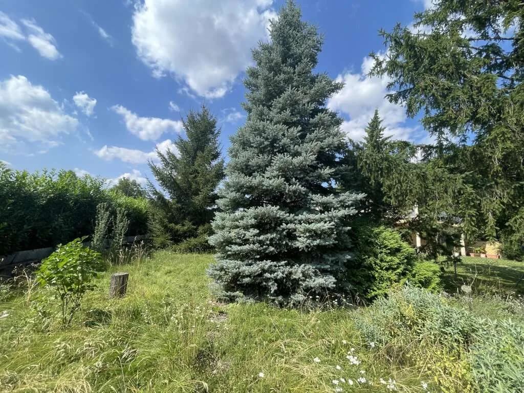 Grundstück kaufen in Mattersburg – 724 m², € 149.000 – Bild 3 von 7