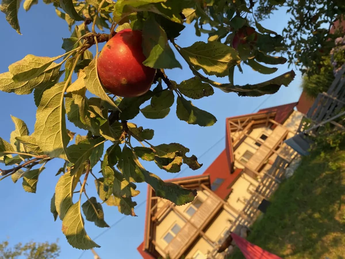 Haus kaufen in Jennersdorf – € 1.190.000