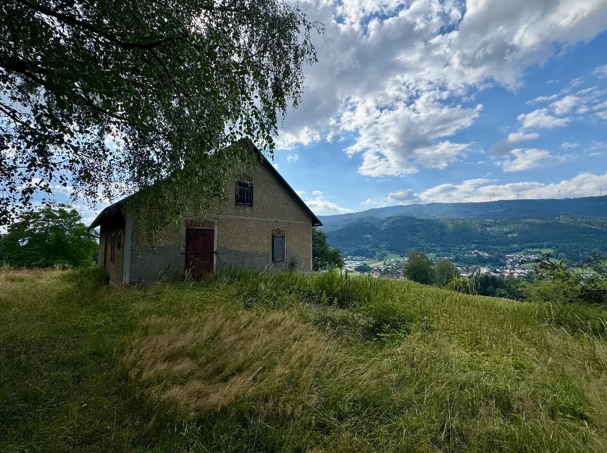 Immobilie mieten in Bruck-Mürzzuschlag – 11 000 m², € 200