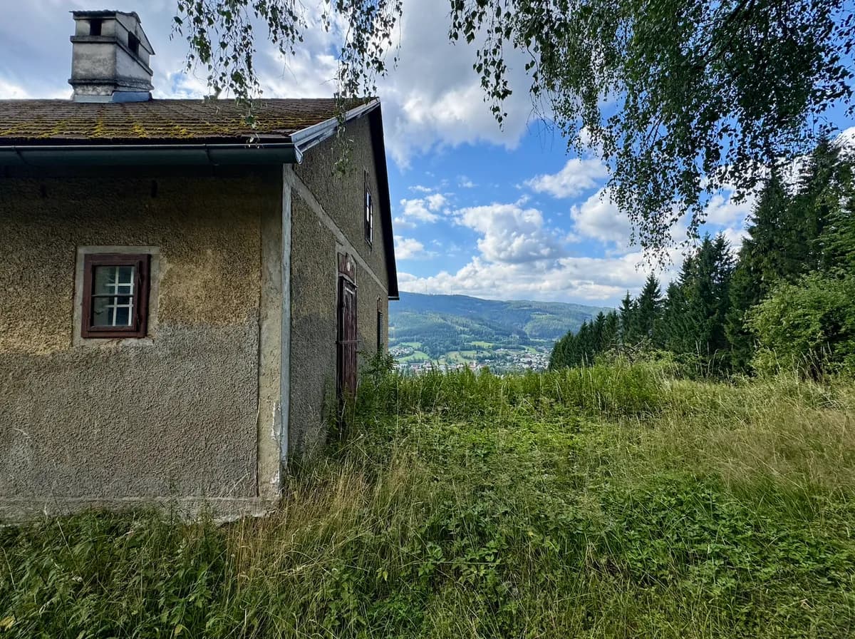 Immobilie mieten in Bruck-Mürzzuschlag – 11 000 m², € 200 – Bild 2 von 3