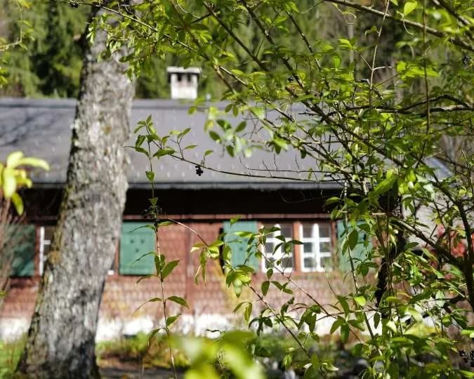 4-Zimmer-Haus mieten in Scheibbs – 110 m², € 1.100