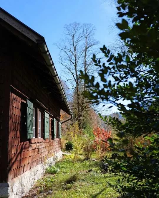 4-Zimmer-Haus mieten in Scheibbs – 110 m², € 1.100 – Bild 4 von 10