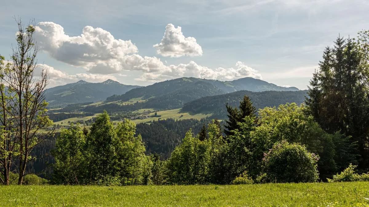 14-Zimmer-Immobilie kaufen in Kitzbühel – 1 580 m² – Bild 4 von 18