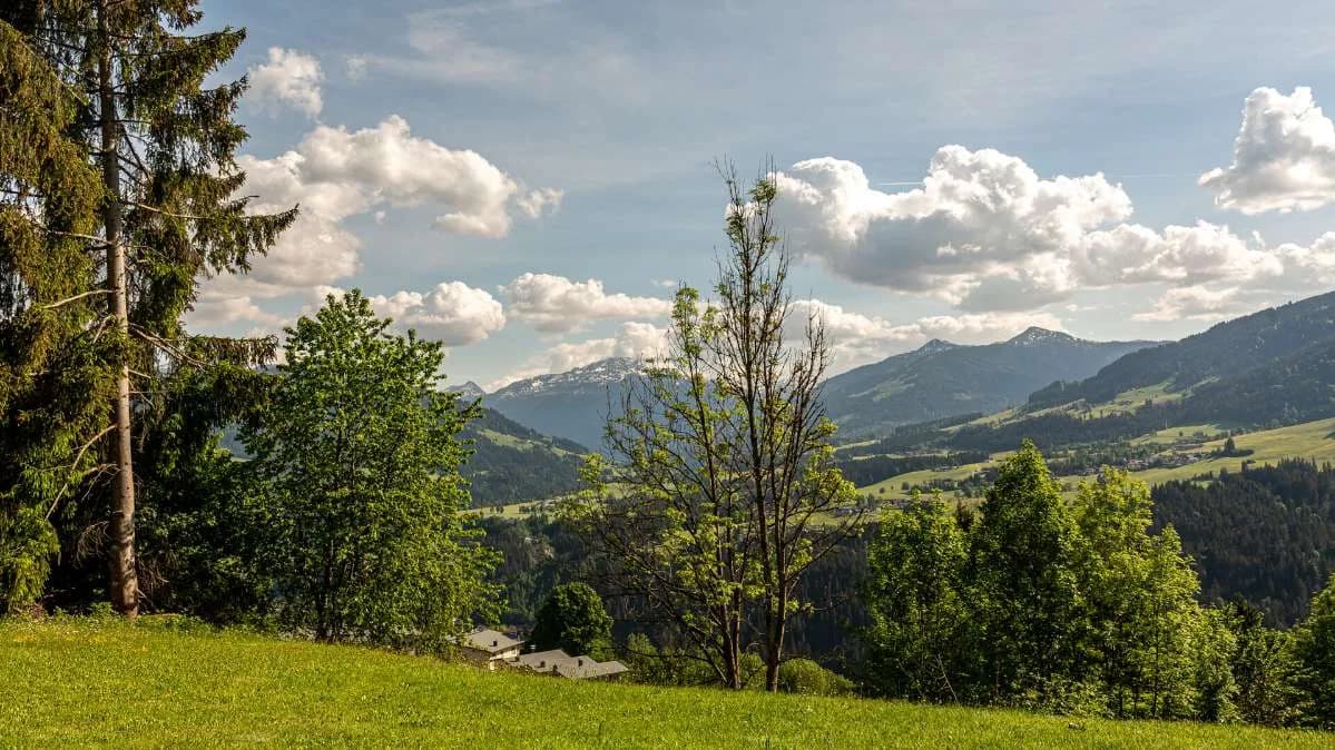14-Zimmer-Immobilie kaufen in Kitzbühel – 1 580 m² – Bild 15 von 18