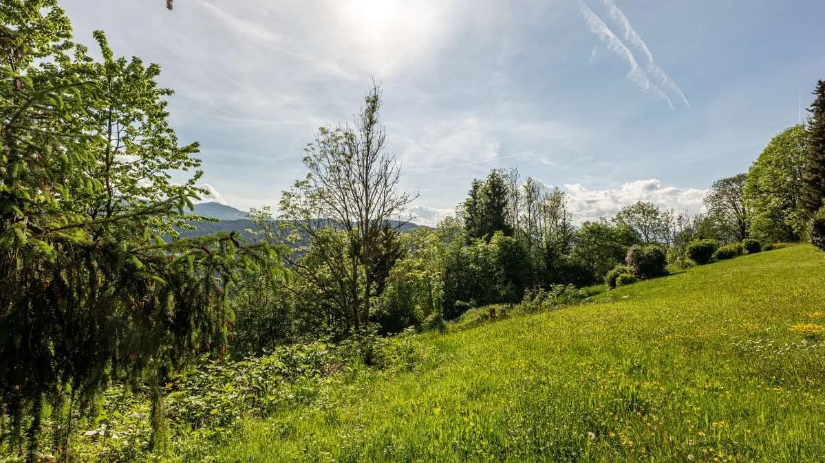 14-Zimmer-Immobilie kaufen in Kitzbühel – 1 580 m² – Bild 17 von 18