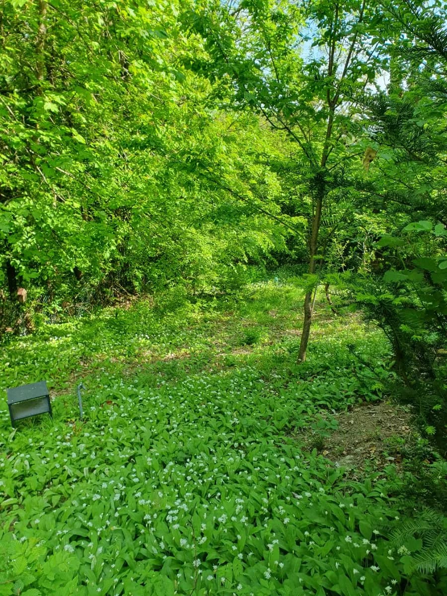 Immobilie mieten in Wien – 740 m², € 460 – Bild 15 von 20