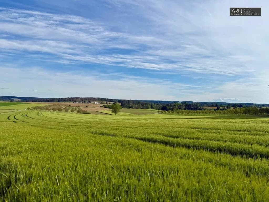 Grundstück kaufen in Hartberg-Fürstenfeld – 949 m², € 49.000 – Bild 6 von 13