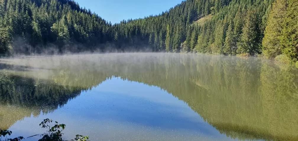 4-Zimmer-Wohnung kaufen in Murau – 100 m², € 228.400 – Bild 25 von 25