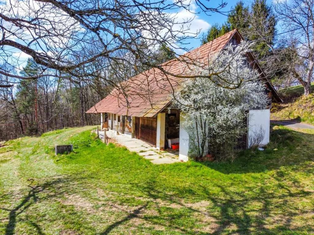 Immobilie kaufen in Südoststeiermark – 10 000 m², € 275.000 – Bild 3 von 20