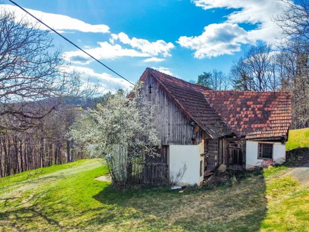 Immobilie kaufen in Südoststeiermark – 10 000 m², € 275.000 – Bild 5 von 20